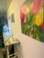 Hotel Passion by Julie Bild 4