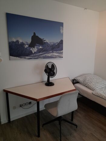 Unterkunft für Monteure in Stuttgart-Bad Cannstatt Bild 3