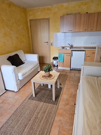 Zentrales Apartment für 1-2 Personen in Geisenheim/Rheingau