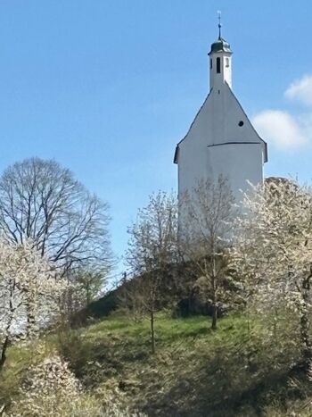 Monteuerwohnung zum Schwalbennest Bild 3