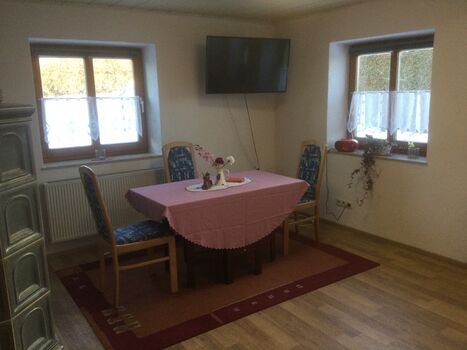 Monteuerwohnung zum Schwalbennest Bild 4