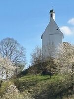 Monteuerwohnung zum Schwalbennest Picture 3