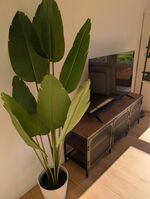 GH 56 I Bild 7