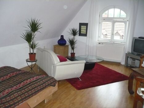 Möbliertes Zimmer mit Herkulesblick in Künstlerwohnung Bild 4