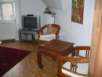 Möbliertes Zimmer mit Herkulesblick in Künstlerwohnung Bild 1