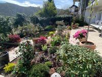 Pension mit Moselblick Bild 12