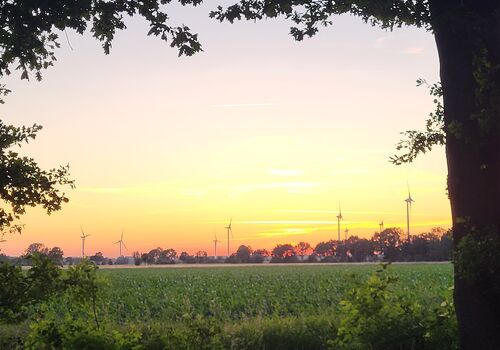 LANDschläfer Zdjęcie 5