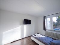 2 Wohnungen in einem Haus für bis zu 16 Personen - WLAN, Nähe Hamburg Bild 8