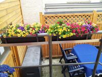 Privatzimmer Schäfer Bild 17