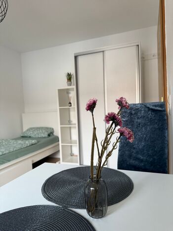 Stay4Work Lörrach / Rheinfelden / Basel / Grenzach