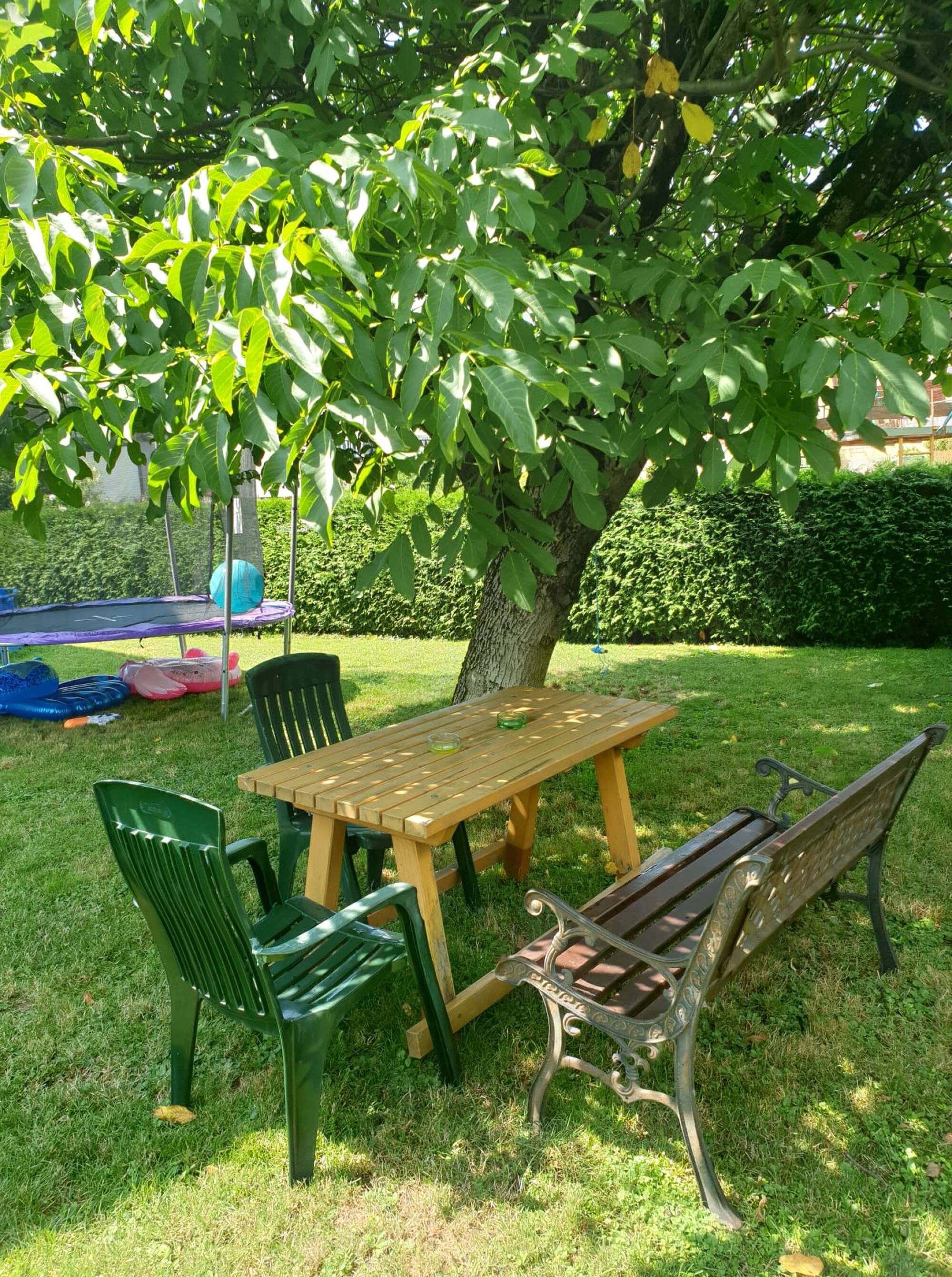 Backyard