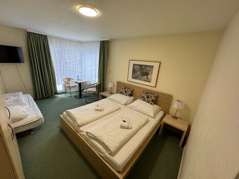 Primum Hotel Braunlage Picture 3