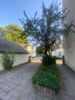 Monteurzimmer München CITY– sauber, direkt an A94/A8/A99 Bild 10