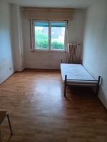 3-Zimmer Monteurwohnung (max 8 Personen) Bild 8