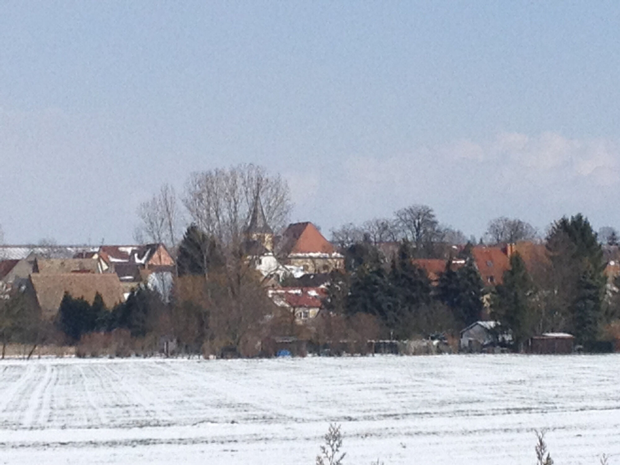 Wlzen im Winter