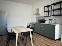 3 moderne Apartments in Wiesbaden Picture 2