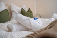 Therme und Fly Apartment Erding Bild 10