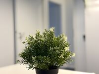 City Apartments Bild 10