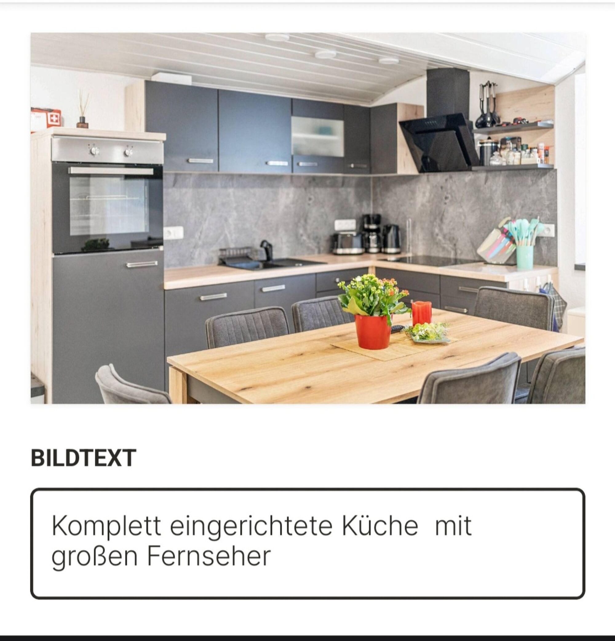 Komplett eingerichtete Küche mit Kachelofen WLAN und großen TV 