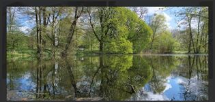 Wohnung Prana Bild 7