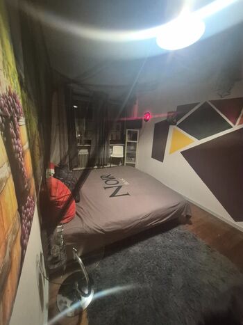 Gästezimmer / WG Rook Bild 2