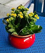 Wohnung Ippen Zdjęcie 19