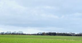 Aussicht Küchenfenster