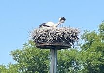 Wohnung Monteure Voerde Wesel Dinslaken Ruhrgebiet Obrázok 13