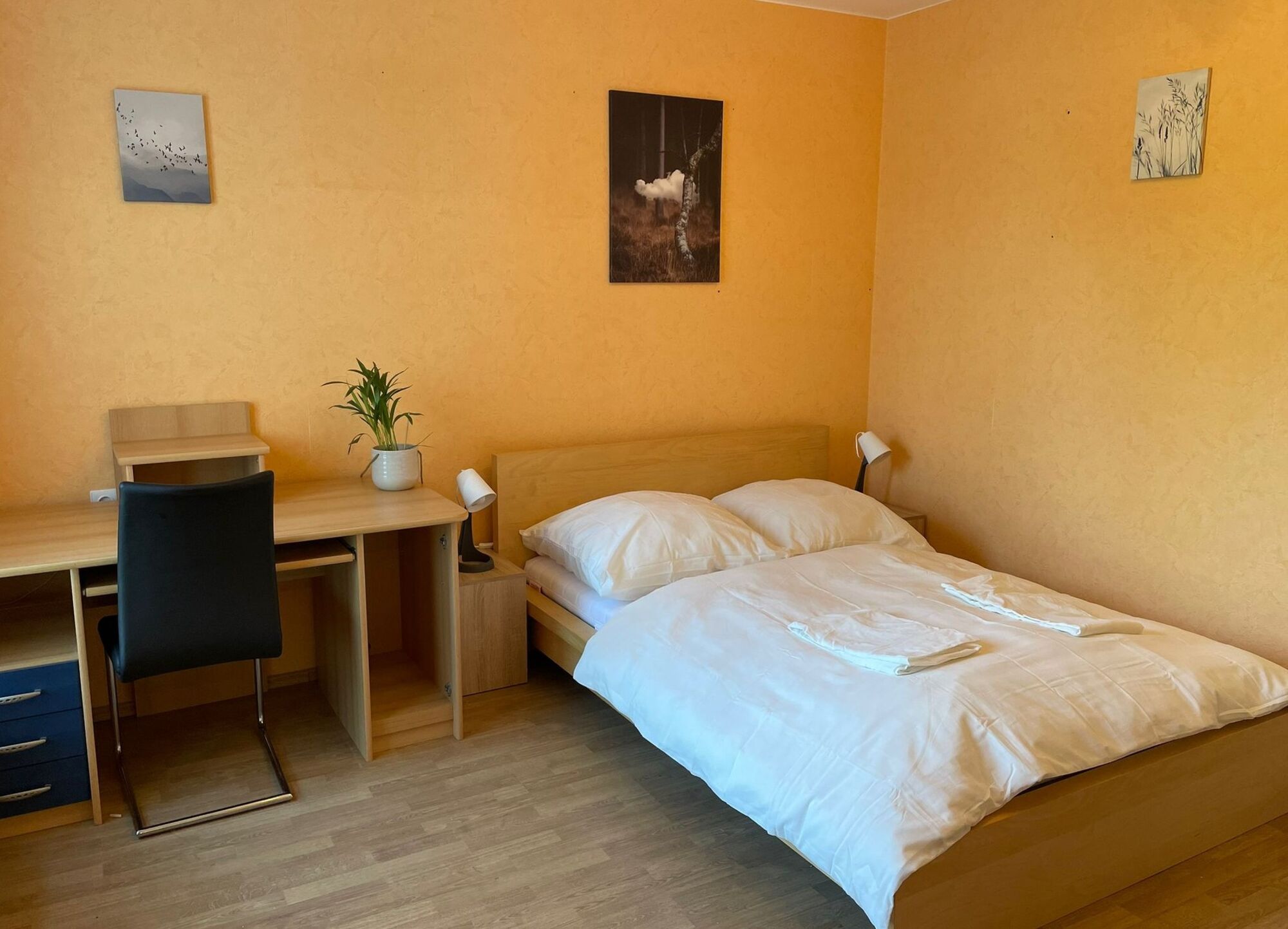 Bild 5