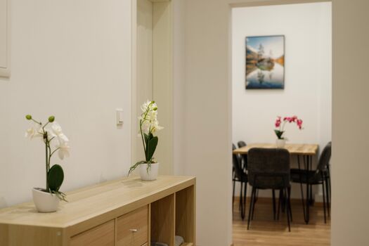 JOSEF APARTMENTS | WIESBADEN | ELTVILLE | 7+ Appartements Picture 3