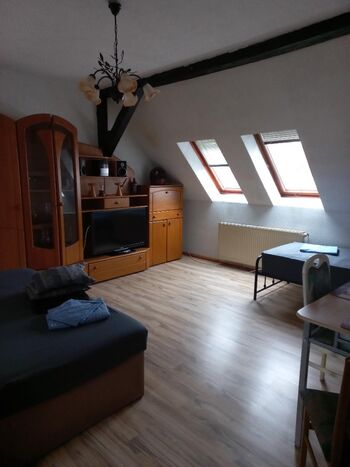 Wohnung Seenland Picture 2