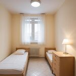 Monteurunterkunft Dresden -nach Wunsch/Bedürfnis Bild 2