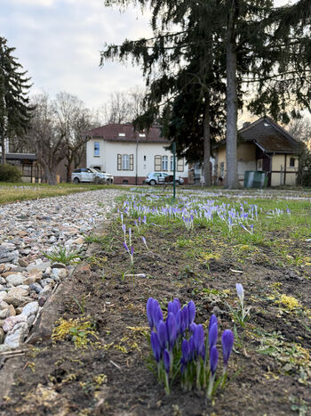 Potsdam Heritage Apartment - Accommodation Zdjęcie 3