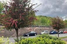 Ganze Wohnung Eisenach (kontaktlose Check-In) Obrázok 11