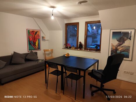 Helle, teilmöblierte Wohnung ab sofort zu vermieten! Bild 1