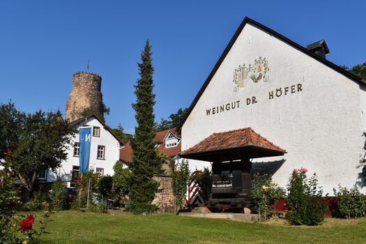 Monteurwohnung Weingut dr.Höfer Bild 4