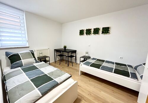 TOP Business Apartment / Monteurwohnung Bild 3