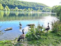 Seeblick - Hotel - Kegelbahn - Café Zdjęcie 5