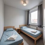 Monteurunterkunft Freiburg -nach Wunsch/Bedürfnis Bild 7