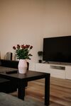 Loft Riva II Picture 4