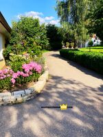 Atelierwohnung/Apartment - in Ansbach Bild 3
