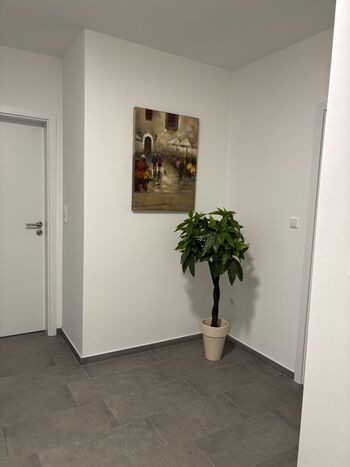 Apartment, Ferienwohnung 85 m² Bawinkel