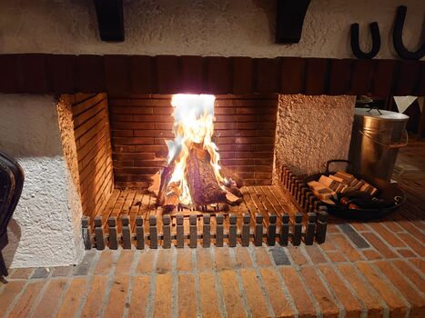 Hotel & Restaurant Schimmelreiter Picture 4