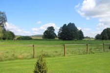 FeWo Potsdam - Berlin Picture 16