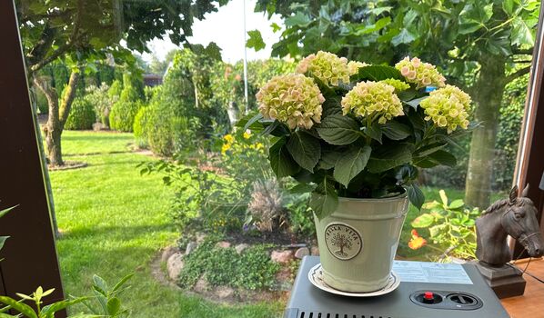 Gästezimmer Graefe Bild 4