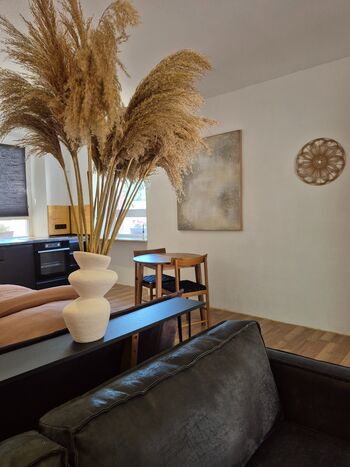 Apartment #1 Picture 4