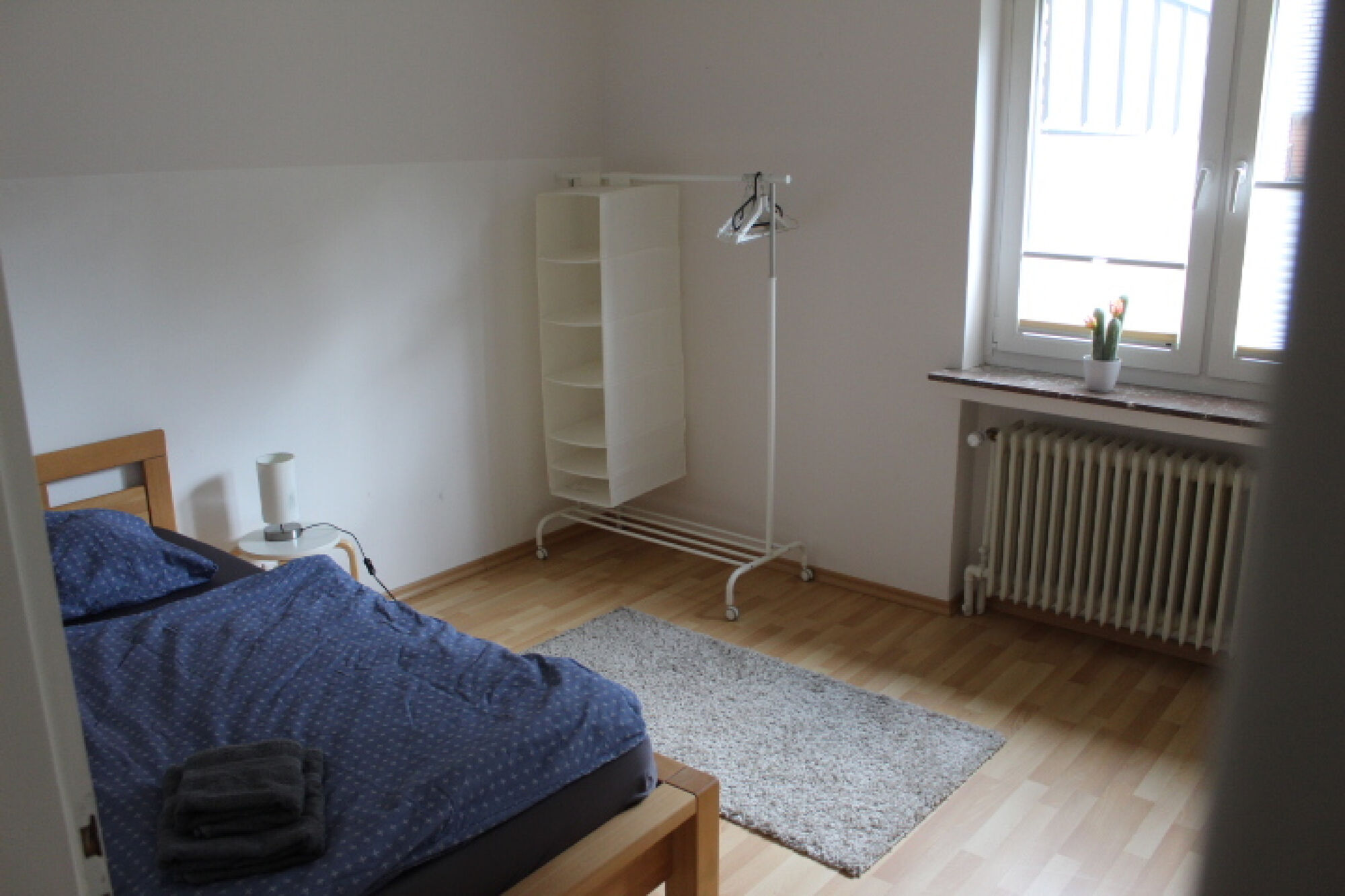 Picture 5