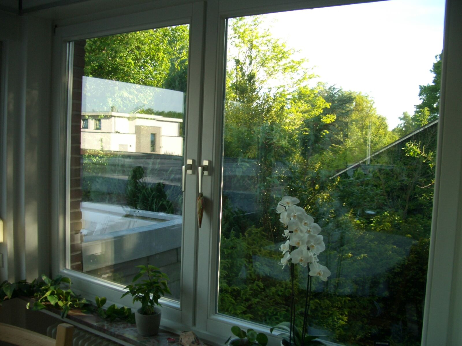 Bild 4