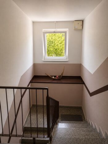Pension Reiter GmbH Bild 5