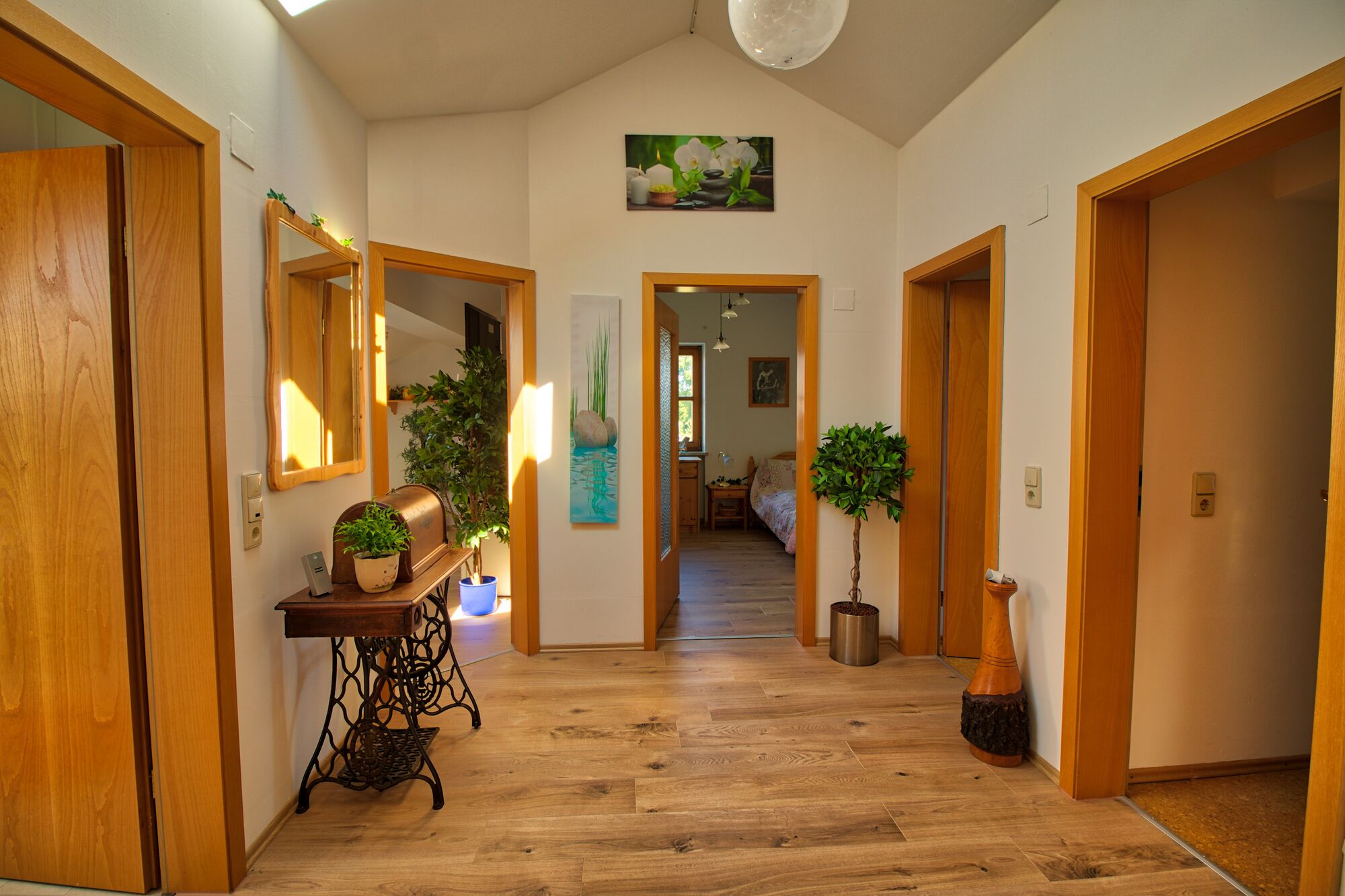 Picture 5